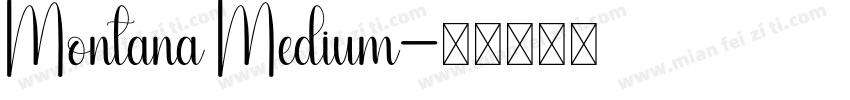 Montana Medium字体转换